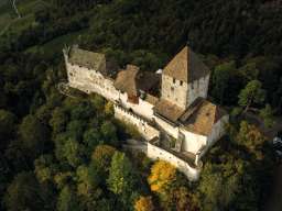 Bild von oben auf die Burg Hohenklingen in Stein am Rhein. Die Burg ist von Wald umgeben.