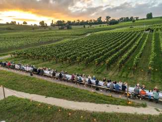 Im Weinberg steht ein langer Tisch, an dem Leute sitzen.