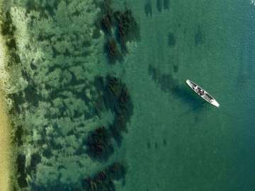 Vogelperspektive auf den smaragdgrün schimmernden Rhein. Ein Weidling treibt mit der Strömung.
