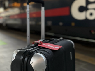 Ein schwarzer Koffer steht vor einem Zug. Am Koffer hat es ein rotes Schild auf dem "travelise" steht.