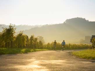 Zwei Velofahrer fahren bei goldigem Abendlicht durch die Reben.